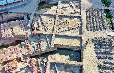 東莞發(fā)現(xiàn)南海衛(wèi)城墻遺址